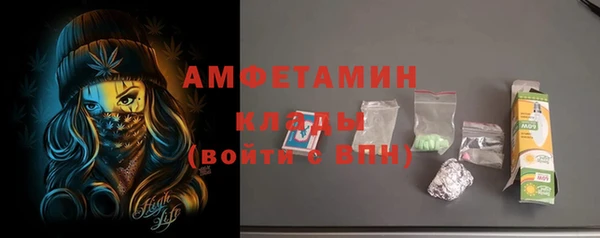 ГАЛЛЮЦИНОГЕННЫЕ ГРИБЫ Корсаков