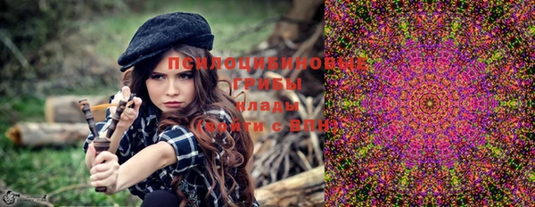 ГАЛЛЮЦИНОГЕННЫЕ ГРИБЫ Корсаков