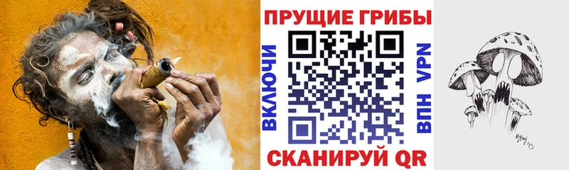 Купить  Алатырь  Галлюциногенные грибы MAGIC MUSHROOMS 