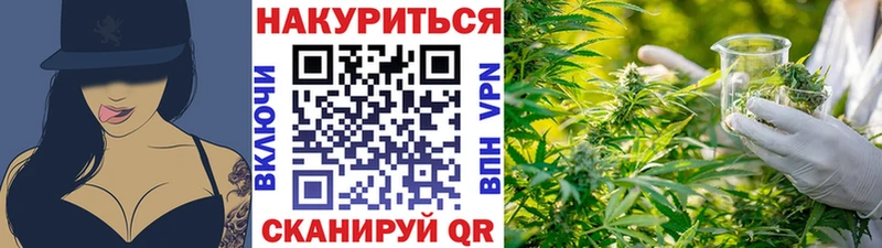 Бошки Шишки OG Kush  Купить  Алатырь 